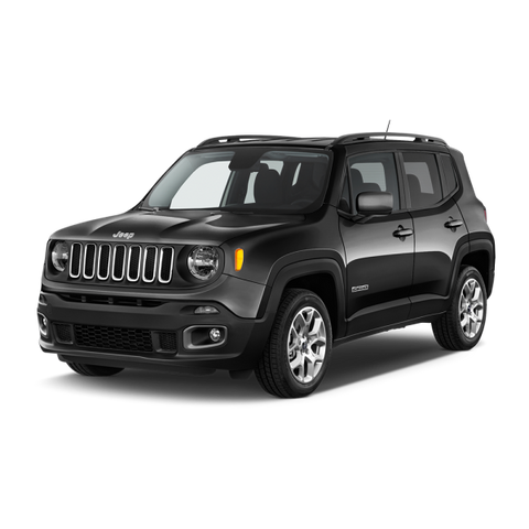 RENEGADE > 2014