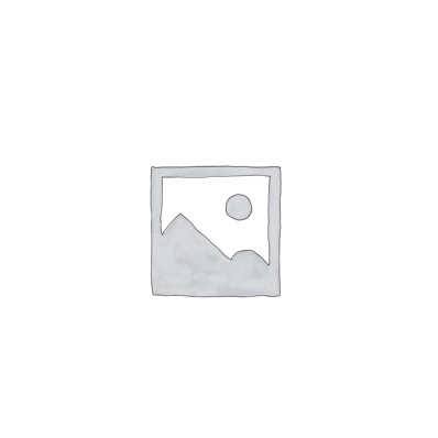 IQ-AN X993_GPS (TABLET)